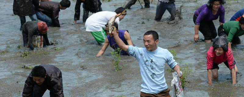 男人梦见抓了一条大鱼什么意思 男人梦见抓了一条大鱼预示什么