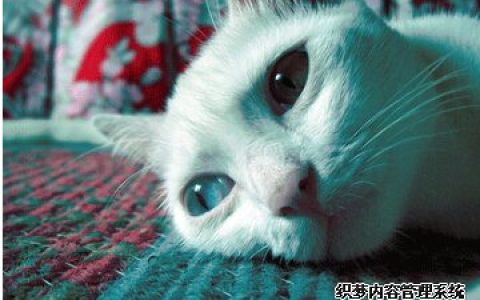 一道题看出你的人缘为何会这么差