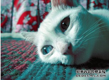 一道题看出你的人缘为何会这么差