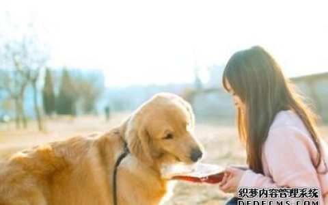 坐电梯测你的社交智商