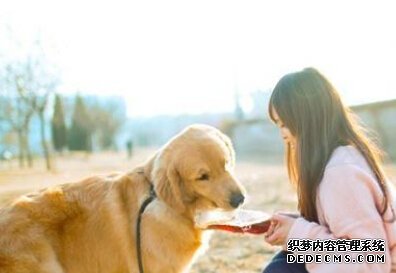坐电梯测你的社交智商
