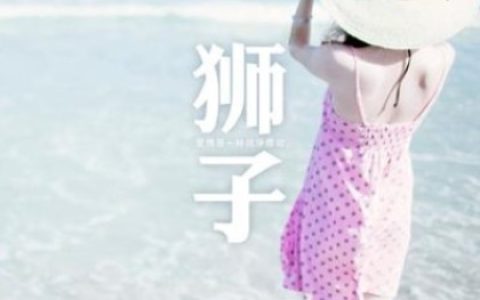 狮子座的理想情人