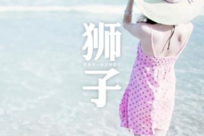 狮子座的理想情人