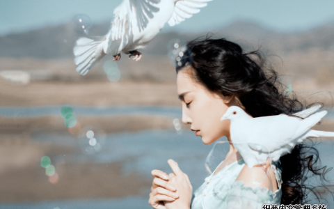 测你会自恋到无法自拔吗