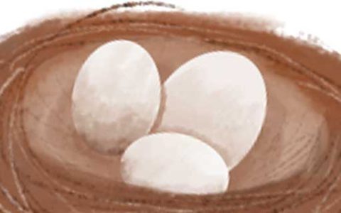 梦见鸟蛋什么意思 梦见鸟蛋什么征兆