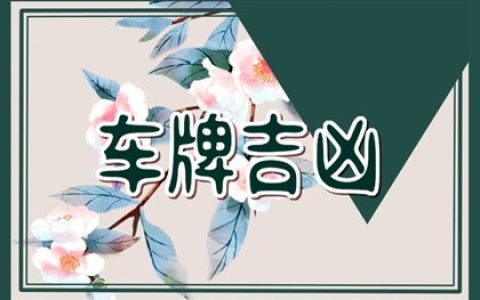 汽车车牌靓号怎么选 车牌号中带H和Q的好不好
