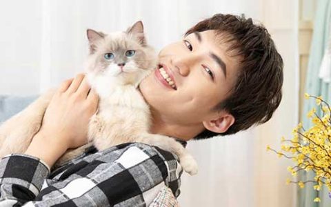 梦见猫挠我什么意思 梦见猫挠我有什么预兆