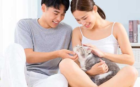 梦见猫爬到身上甩不掉什么意思 梦见猫爬到身上甩不掉预示什么