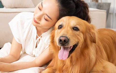 梦见狗咬手流血了什么意思 梦见狗咬手流血了好不好