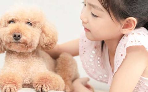 梦见孩子被狗咬了有什么预兆 梦见孩子被狗咬了什么意思
