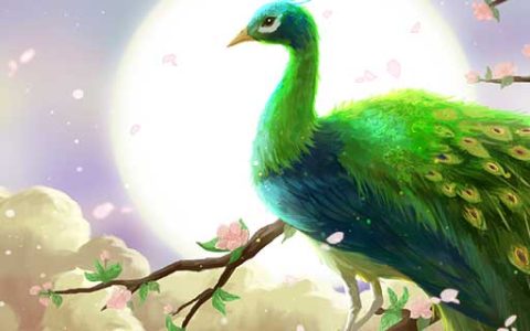 梦见孔雀飞什么意思 梦见孔雀飞预示什么