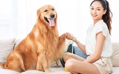 梦见狗咬自己脚什么意思 梦见狗咬自己脚好不好