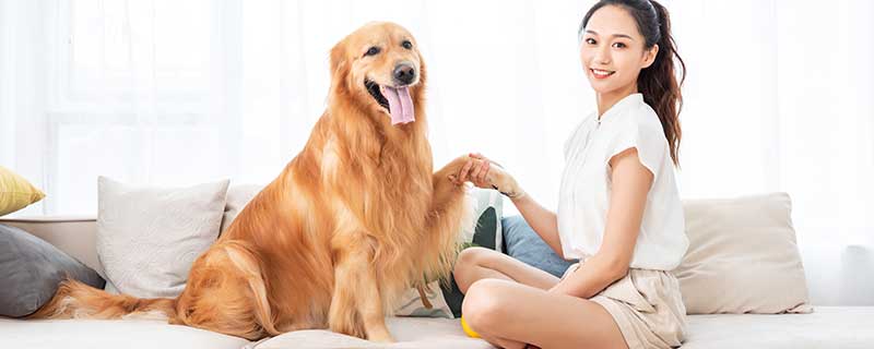 梦见狗咬自己脚什么意思 梦见狗咬自己脚好不好
