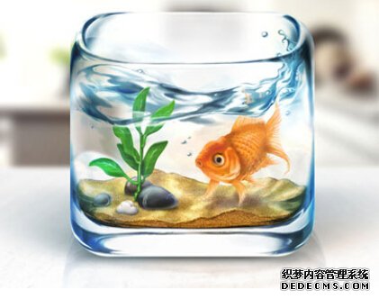 渴望救援看你和同事间关系
