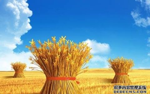阻碍你创业的绊脚石是什么