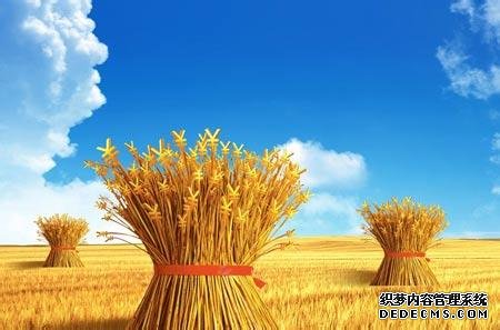 阻碍你创业的绊脚石是什么