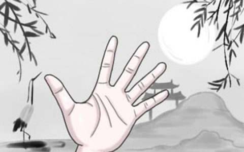 女人假断掌大富大贵
