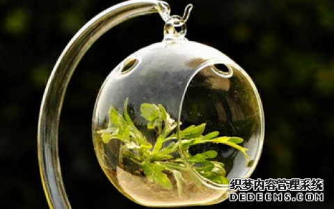 测测你是否有土豪朋友缘？