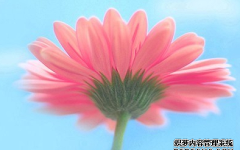 测测你的沟通方式存在哪些问题