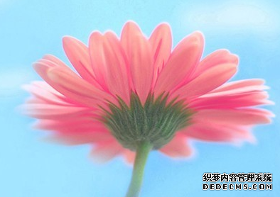 测测你的沟通方式存在哪些问题