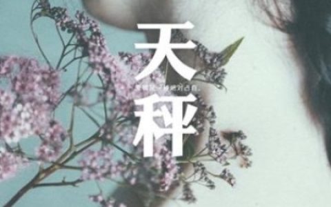 天秤座的理想情人