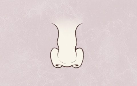 面相女生鼻 女生鼻子小巧挺拔面相
