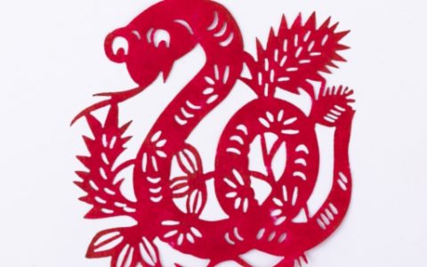 梦到红蛇什么意思 梦到红蛇预兆着什么