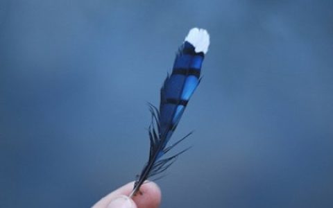 天秤座有哪些爱情禁忌
