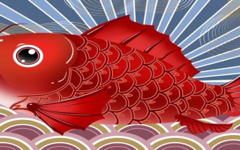 梦到红鲤鱼预兆着什么 梦见红鲤鱼是什么意思