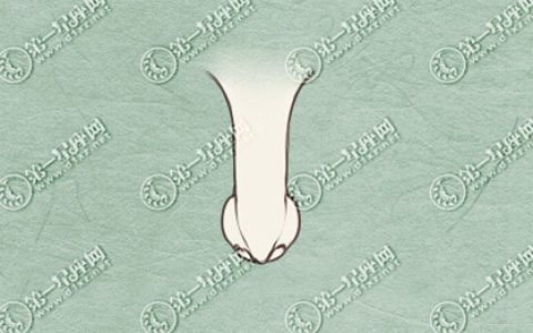 面相鼻子大 鼻子大而饱满的女人怎么样