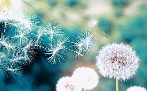 风水学中家运衰落的几大征兆