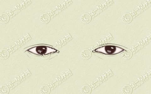 女人五官面相图解大全眼睛 桃花眼的女人花心吗