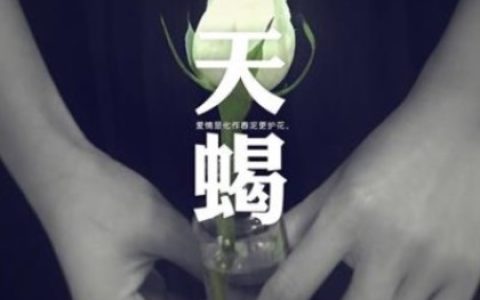 天蝎座寂寞会怎么做