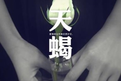 天蝎座寂寞会怎么做