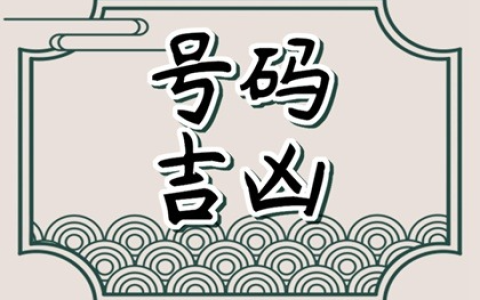 测车牌号吉凶打分 车牌号码带69的好不好