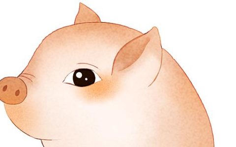梦见猪头是什么意思 梦见猪头是什么征兆