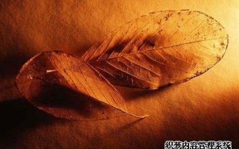 你是老板心中的潜力股吗