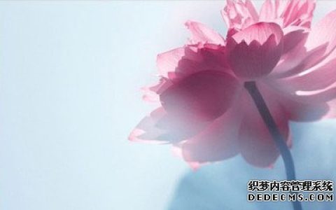 你是如何看待权利呢