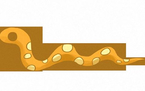 梦见吃蛇胆是什么意思 梦见吃蛇胆预示着什么