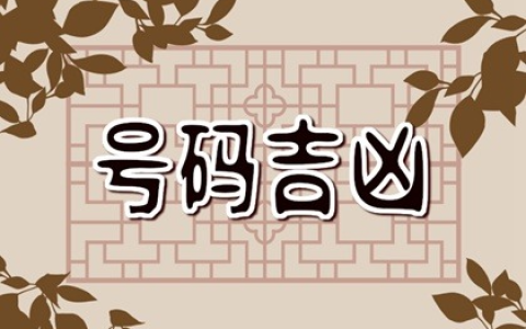如何查看自己的车牌号好不好 带8的车牌为何那么少