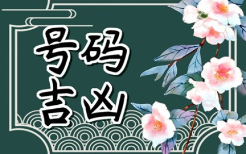 1977属蛇人车牌号的吉利数字 75车牌号好不好