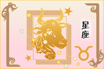 最漂亮的星座女排行榜 美丽与性感兼并叠加