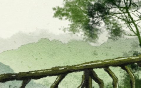 车牌真的有吉凶之分吗  车牌号凶吉可信吗