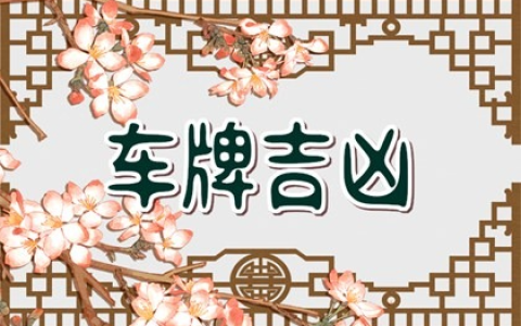数字能量车牌号码 好的组合数字都有哪些