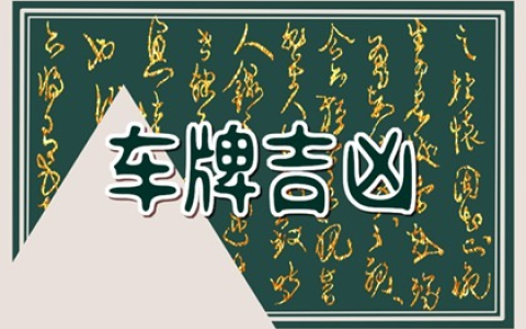 生辰八字算车牌免费 石榴木命车牌号选什么好