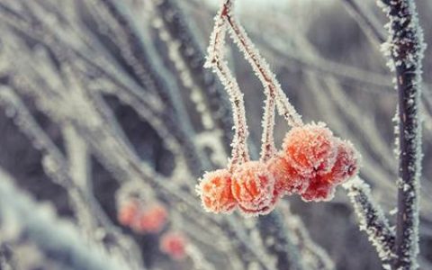 祖坟风水与行善积德_祖坟的选择与安葬