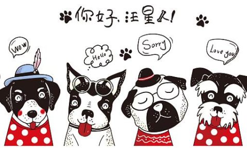 梦见箱子里有五六个小狗的含义 梦到箱子里有五六个小狗代表了什么