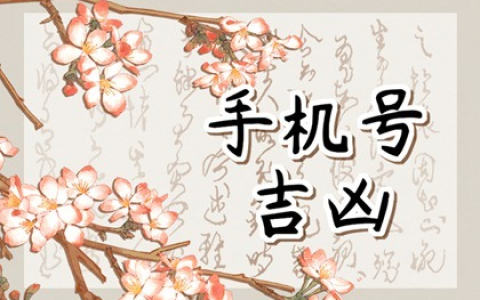 车牌选号码吉凶 车牌尾号是9是最好的吗