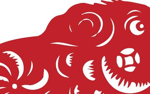 梦到猪在后面追着我跑是什么意思 梦到猪在后面追着我跑意味着什么