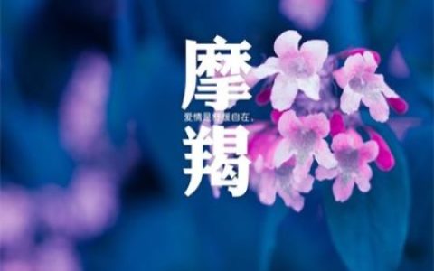 爱上摩羯座有多累